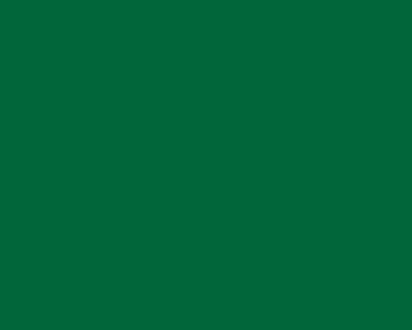 TT-Metacrilato Opaco - Verde Oscuro