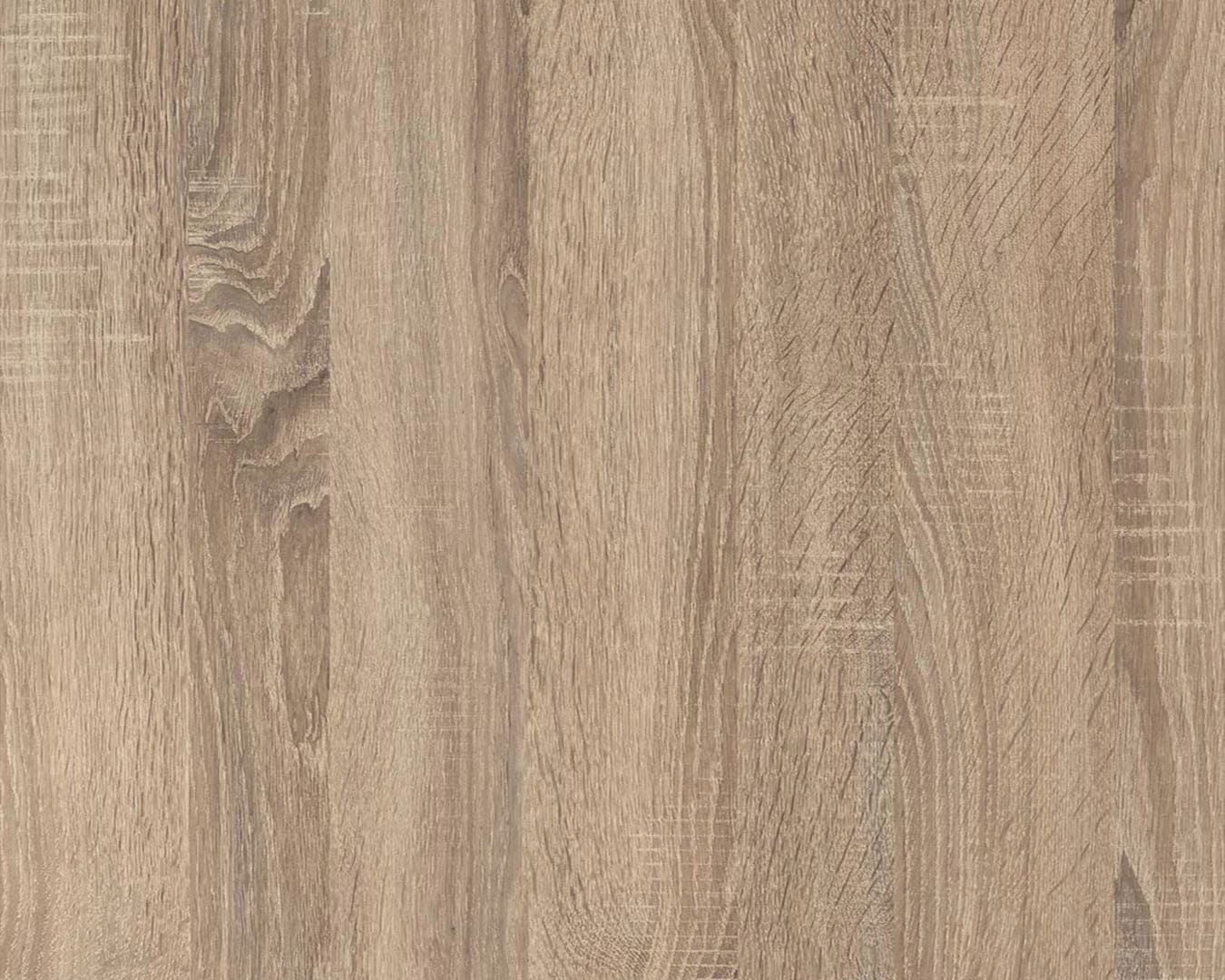 TT23-Roble Cambrian - Veta Vertical