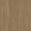TT-Dorma-Roble Denver