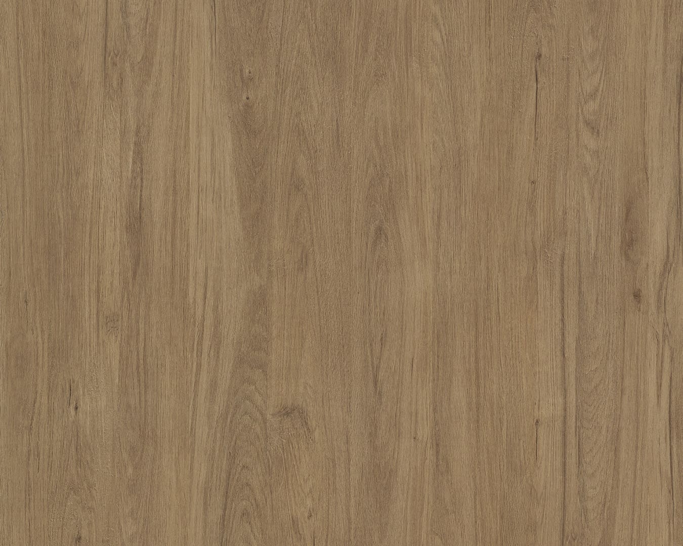TT-Dorma-Roble Denver