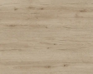 Anniversary Oak 02