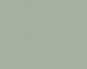 Agave