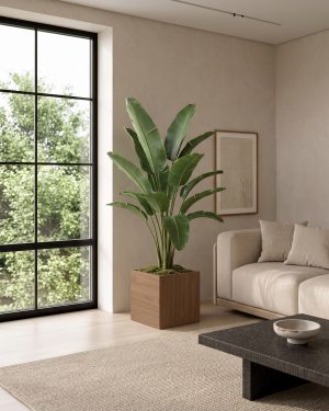 Macetero cubo para plantas