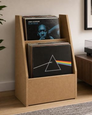 Organizador de vinilos